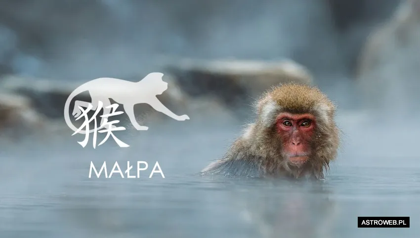 Horoskop chiński 2023 Małpa
