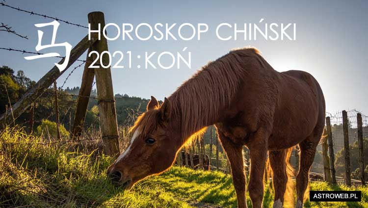 Horoskop chiński 2021 Koń