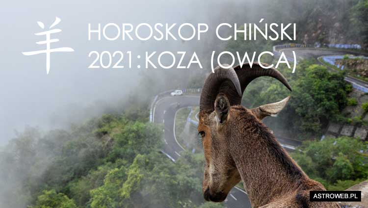 Horoskop chiński 2021 Koza (Owca)