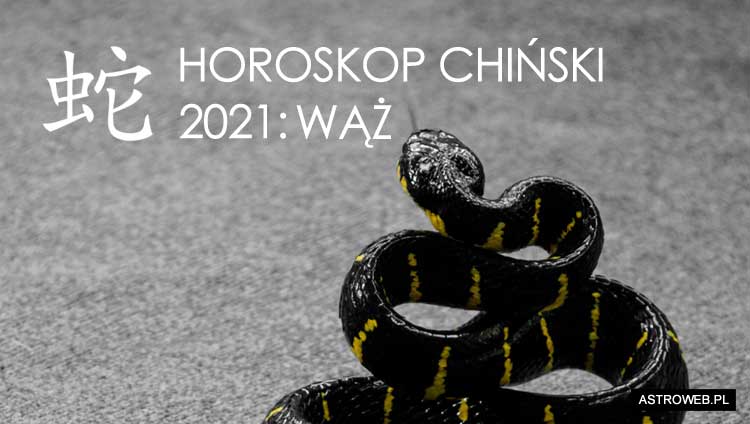 Horoskop chiński 2021 Wąż