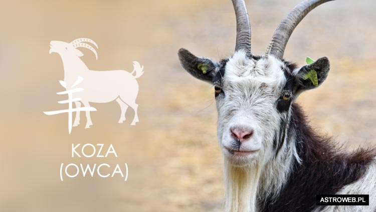 Horoskop chiński 2022 Koza Owca