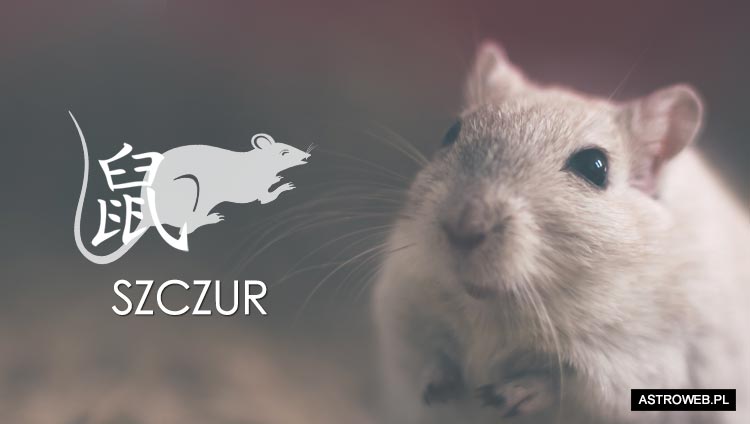 Horoskop chiński 2022 Szczur