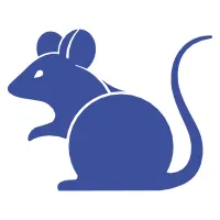 Horoskop chiński 2024 Szczur